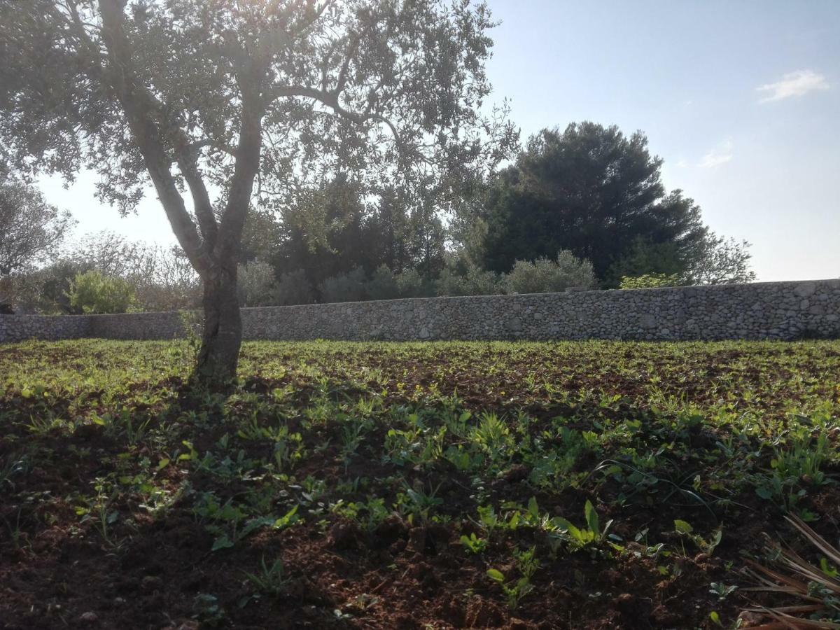 Palacca, Trullo Salentino Andrano Exterior photo